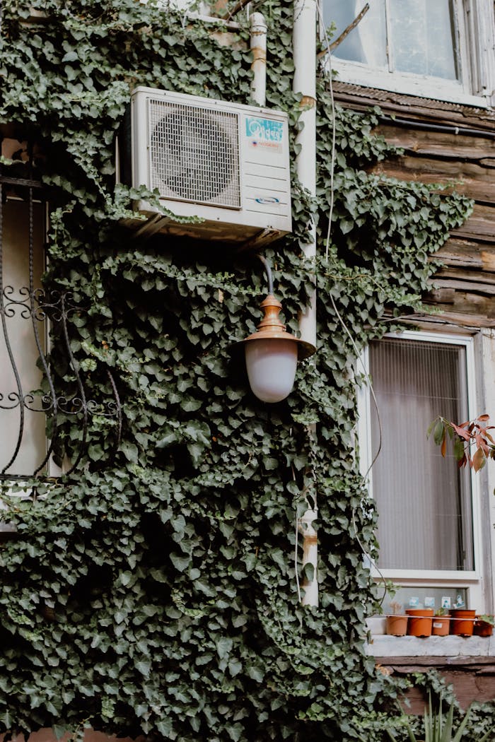 Charming ivy-covered facade with air conditioner and lamp in Arnavutköy, Istanbul.